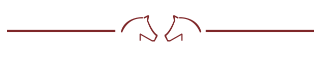 separator-min