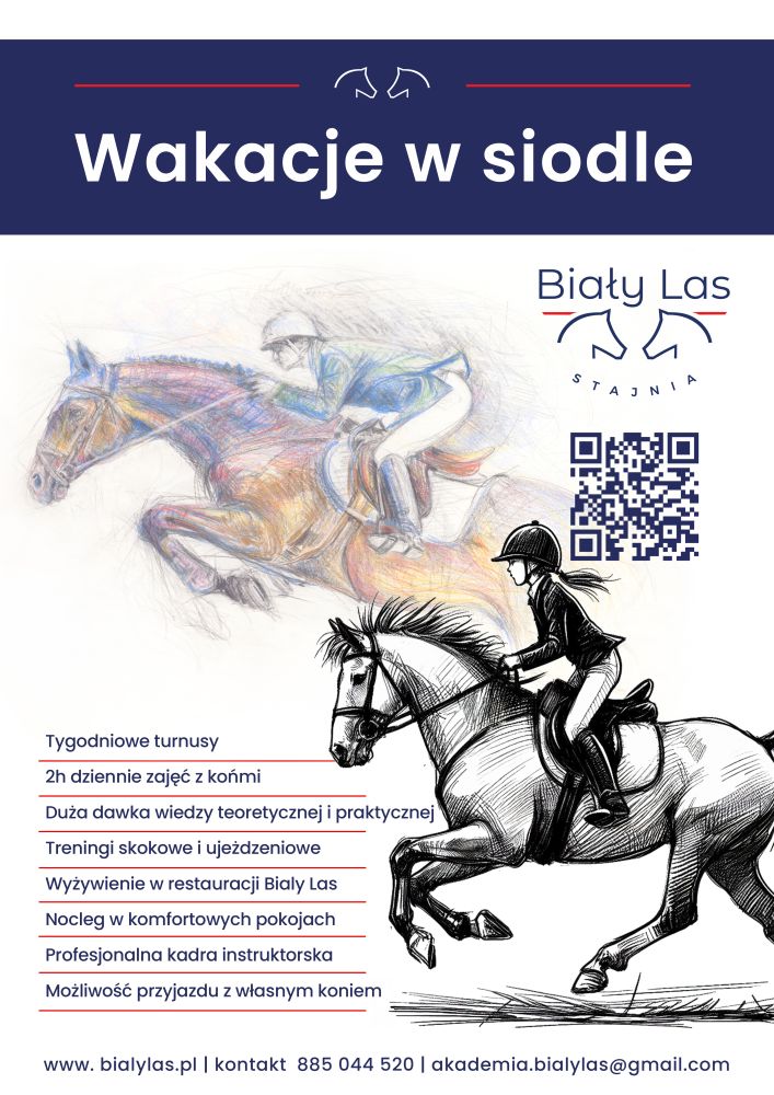 grafika_strona