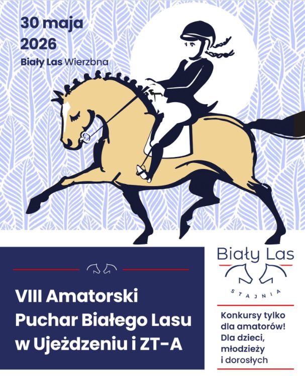 grafika_strona