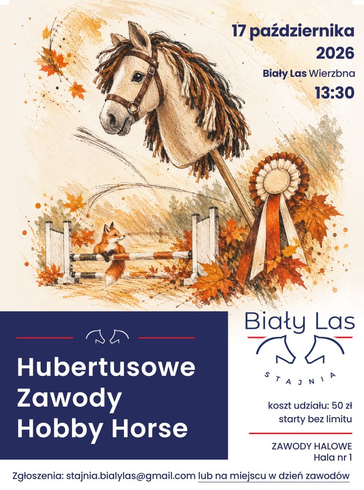 13_30_hobby_horse