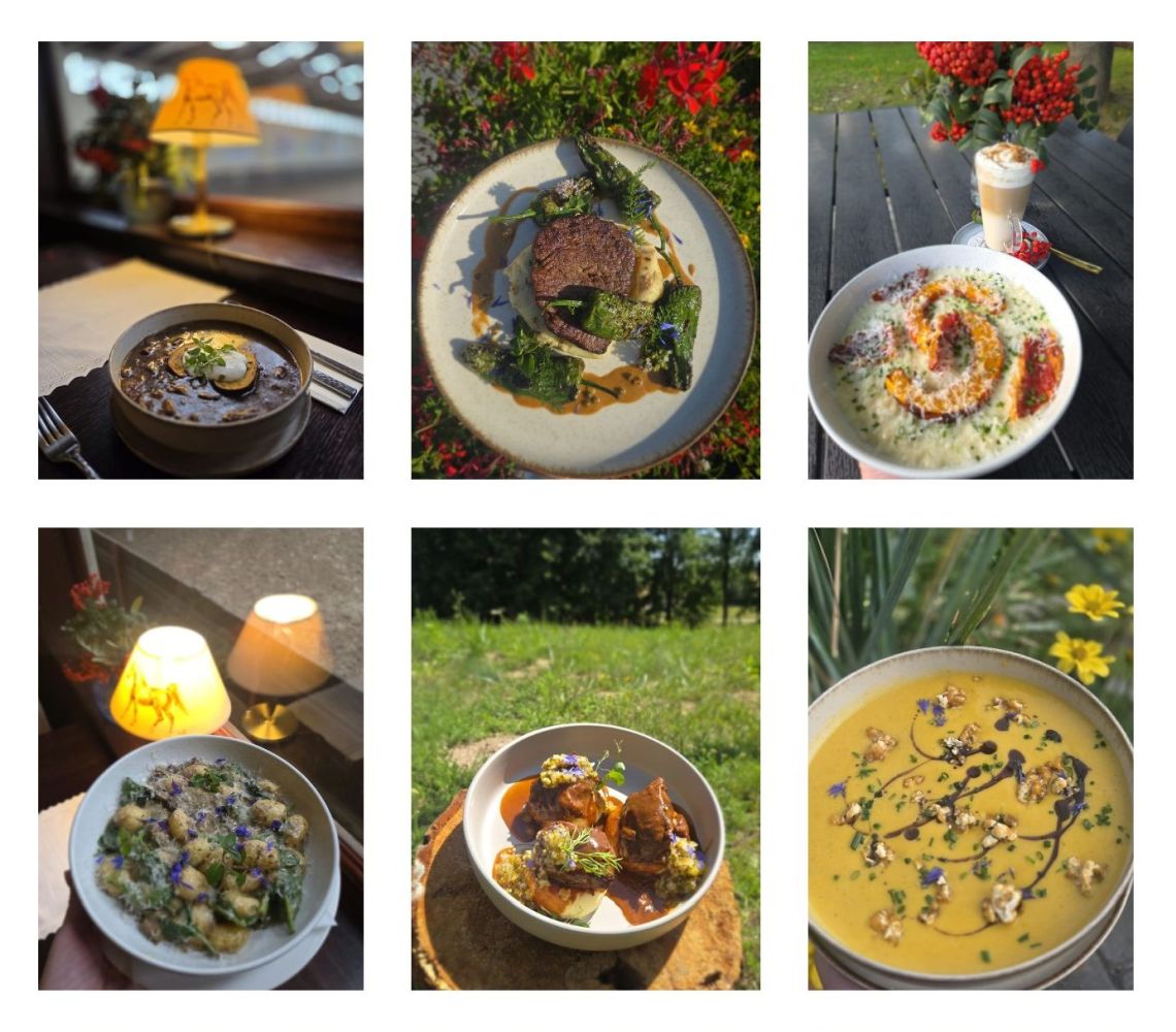 Aktualne_Menu_33
